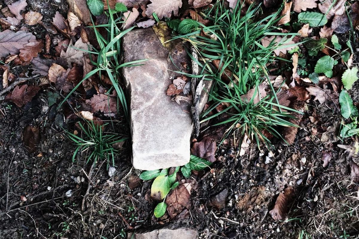 Digital Banking Awareness Campaign campaign for Leading Fintech Brand