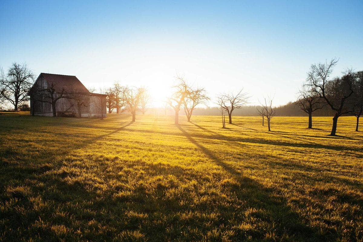 Luxury Real Estate Development Launch campaign for Premium Property Developer
